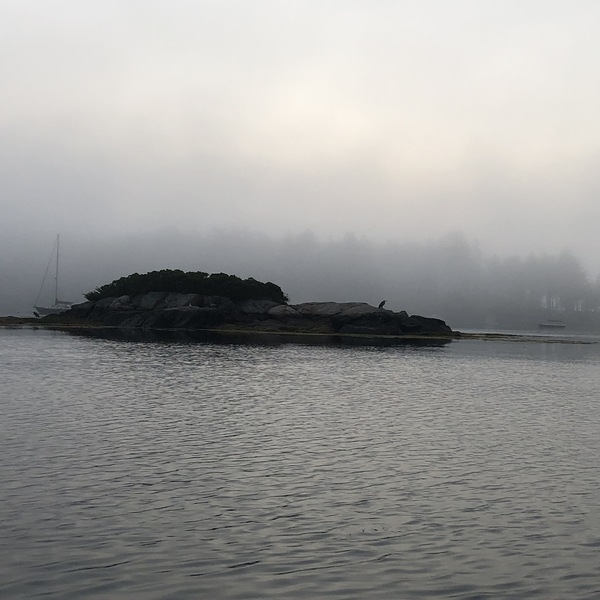 The Point in Morning Fog